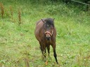 20110718 3978