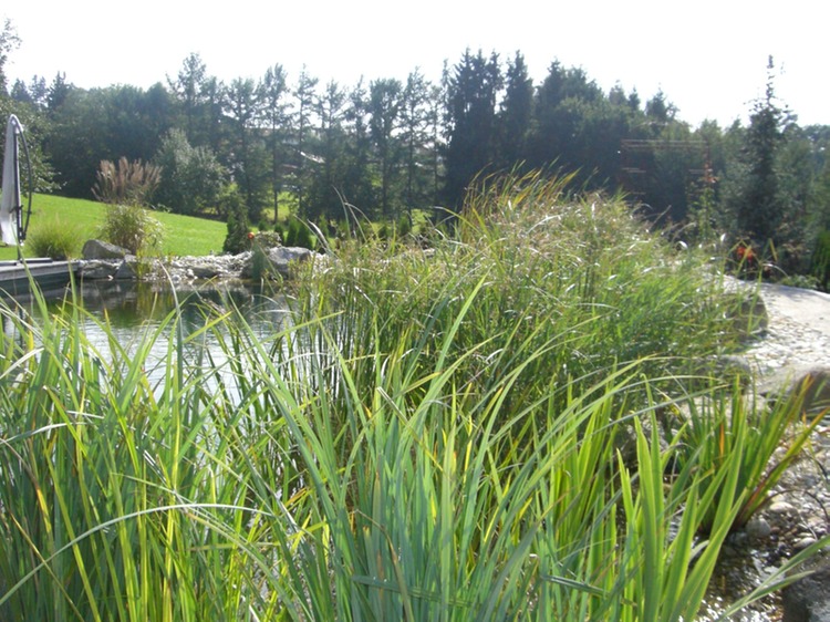 Aktuelles Update 21.09.08 239 (1)