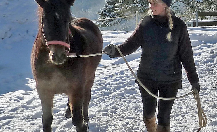 Helga und Sunny Winter verbessert