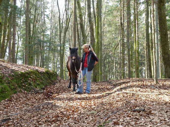 Spaziergang Traxenberg März 2011 20110312 2881