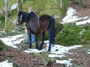 Sunny Spaziergang Traxenberg 20110226 2808