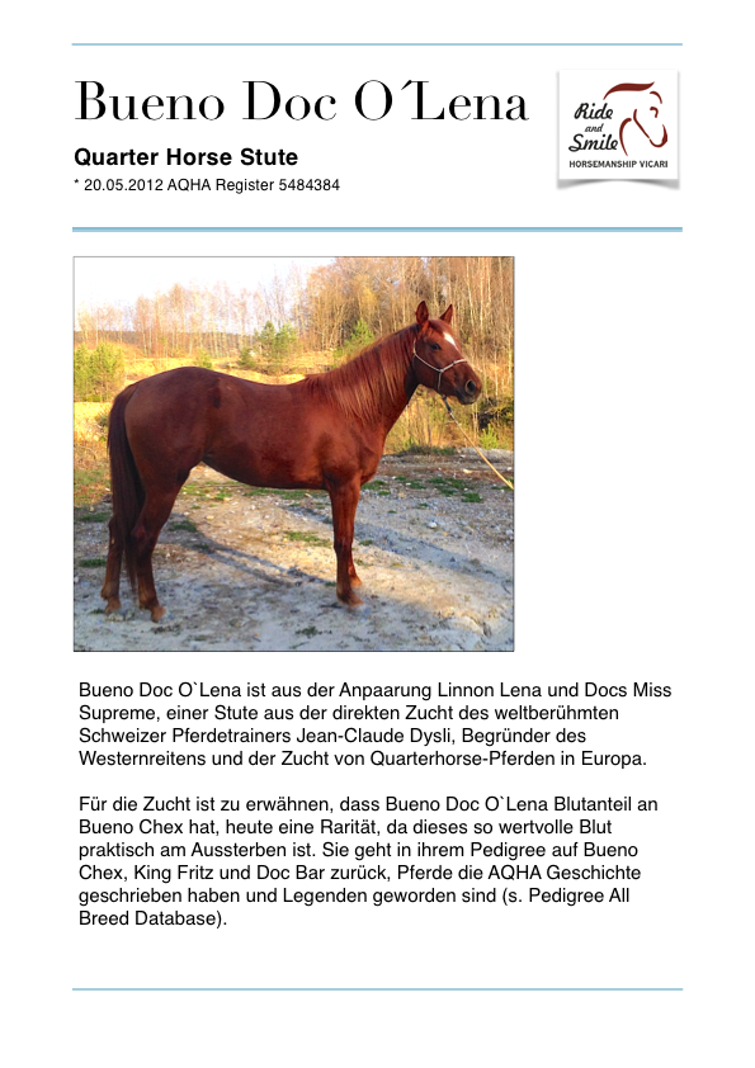 Wertermittlung Bueno Doc O´Lena